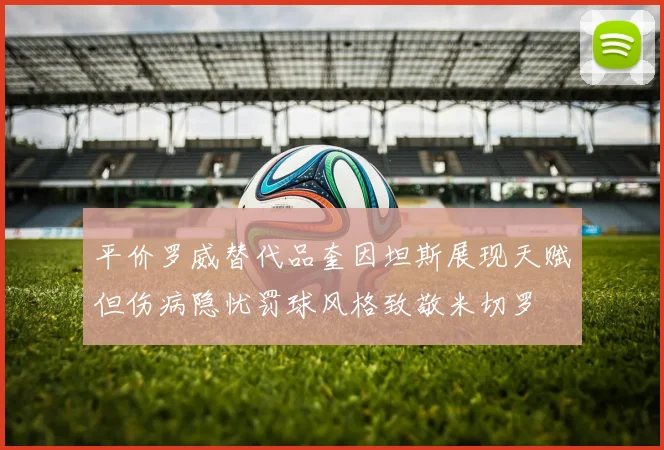 平价罗威替代品奎因坦斯展现天赋但伤病隐忧罚球风格致敬米切罗